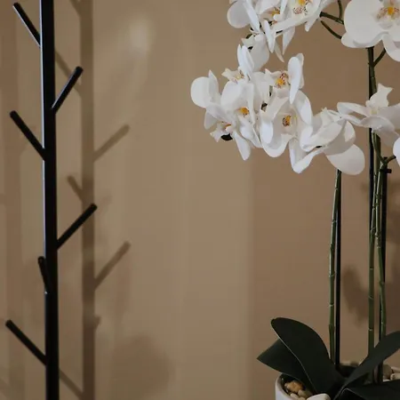 Citylight By Corfuescapes Apartament Corfu (city)